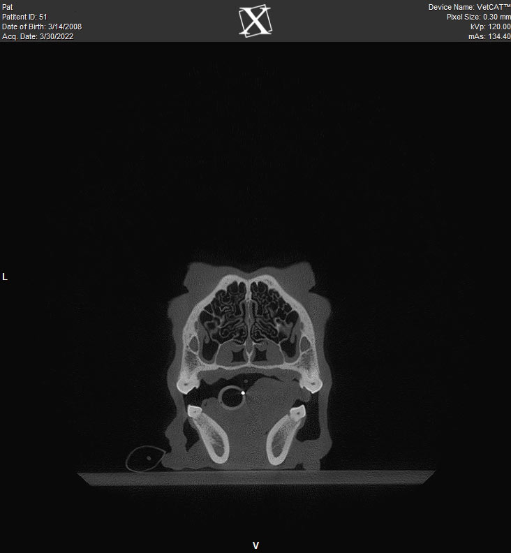 a la carte Cone Beam Computed Tomography