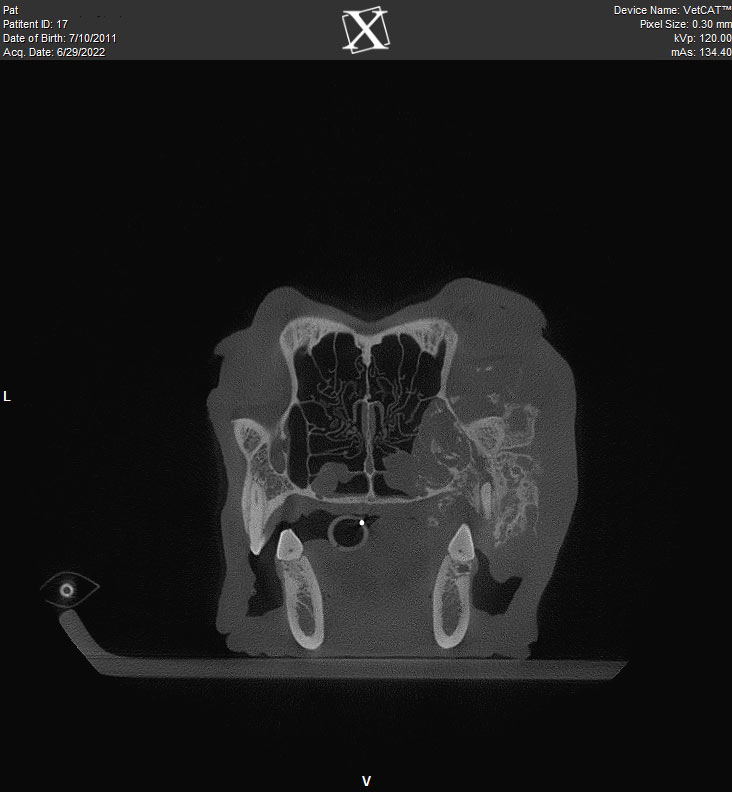 a la carte Cone Beam Computed Tomography
